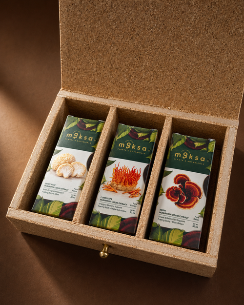 Mushroom Kit (Cordyceps, Lion's Mane, Reishi) Set of 3