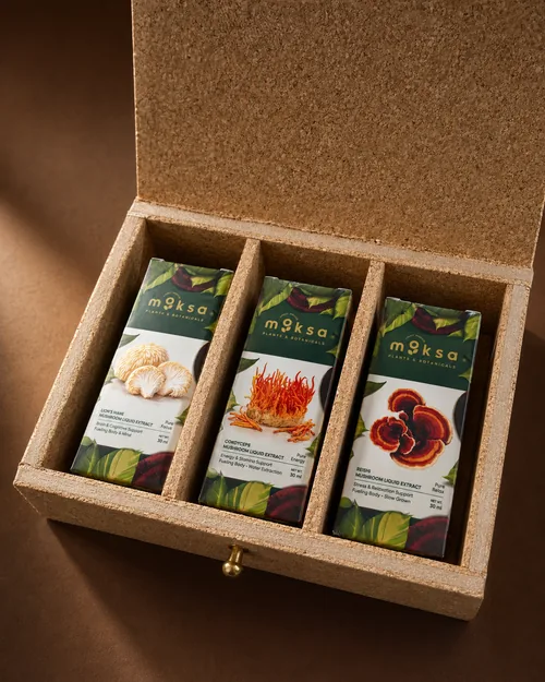 Mushroom Kit (Cordyceps, Lion's Mane, Reishi) Set of 3
